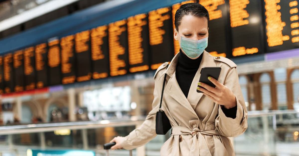 traveller looking at phone