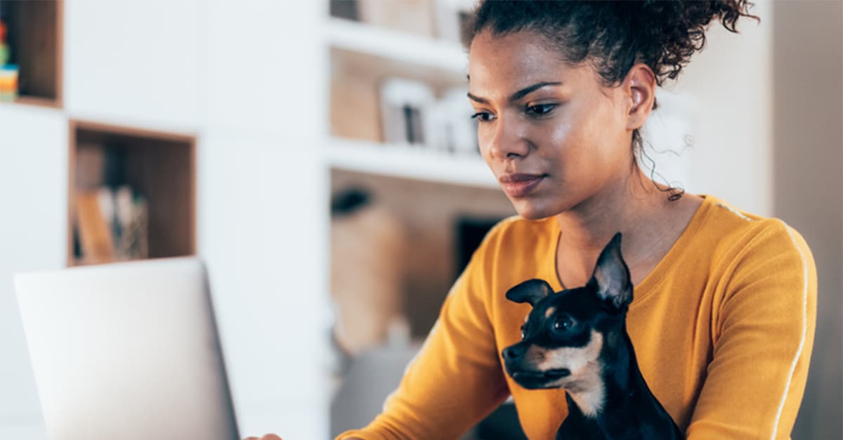 Resource asset image